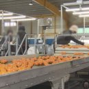 안덕유통 이미지