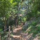 첨단기업로2L(2)-26 | 스위치온 다이어트 4주차 총 변화 식단 단식 부작용 후기