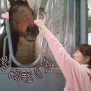 으뜸목장 이미지