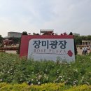 장미의거리 입구 | [송파구 올림픽공원]장미광장에서 자연의 색에 홀딱 반하다