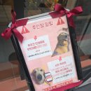 와인 시스터즈 | [송파/잠실]와인시스터즈에서 릴리도 만나(만지)고 와인포장/매장이용까지