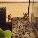 와우펫앤쥬 양산점 이미지