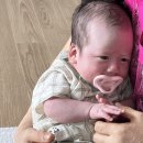 단비 | 신생아유산균 아기유산균 추천템 단비유산균 후기