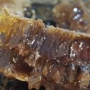 장수비닐봉투 이미지