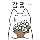 무쇠김치삼겹 이미지