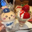 하라주쿠 쇼핑 | 베이프 슈프림 베이스야드 | 레드락 Dennys