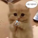 영통결산 (1)