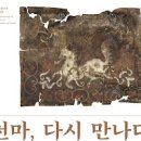 국립 경주 박물관 특별전시 경주 실내 데이트 추천 이미지