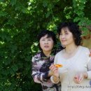 춘천농장 이미지