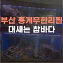 대새환경 | 부산 가성비 홍게무한리필 대새는참바다방문후기 주차정보
