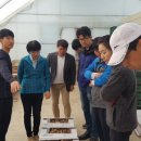 김동언농장 이미지