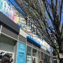빌로우(BELOW) | 미국 뉴욕여행 저렴한 기념품샵 추천 파이브빌로우 five below