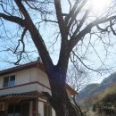 마고실 | 2019.03.24(일) 사진으로 보는 구례 오산 산행일기