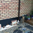 옛날토종닭 이미지