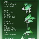 하대남강둔치 이미지