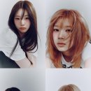 신보문장 이미지