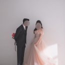 지정08 | [웨딩일기] W.08 부겐빌리아 웨딩촬영 후기(이신영 대표 지정)