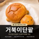 소소쿠키빌 | 일산 베이커리 카페 거북이단팥, 퍼스트가든 근처 단팥빵맛집