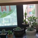 진 한약국 이미지