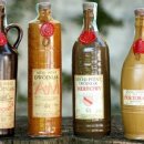 피트니아 이미지