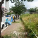 왕산1리 이미지