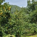 구룡부동산중개 이미지