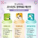 시시비비 이미지