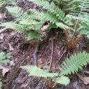 열매농장 이미지