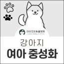 아이조은동물병원 이미지
