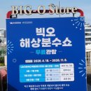 여수 밤바다 제대로 즐기기 빅오쇼 & 소노캄 주변 야경 코스 후기✨