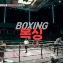 수원M복싱 이미지