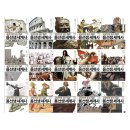 초등 1,2학년을 위한 브레인뱅크 미국교과서 영어 3 - 과학상식편 step1 | [준한의배움]선생님, 역사 수업은 안하세요?/ 준한의 역사 공부 이야기