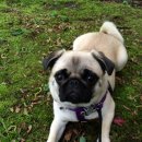 마린동물병원 이미지