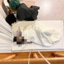1764 | 거제도에서 5시부터 12시까지 먹기 모임