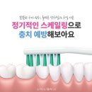 소리소플러스치과의원 이미지