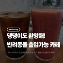 구스카토 - 강서구 공항대로48길 13 | 가득한 공간, 수박쥬스와 아메리카노가 맛있는 굴포천 카페 '구스카토커피 인천부평점' 체험단 솔직후기