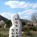 벚나무길 이미지