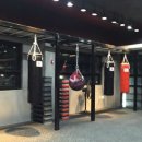 홍성Y복싱클럽 이미지