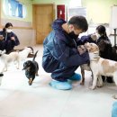 동물치유쉼터 이미지