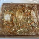 홍기와쭈꾸미 이미지