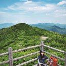 삼둔사가리 이미지