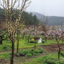 희보농장 이미지