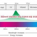 해충폴리스