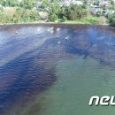 (주)모리셔스 이미지