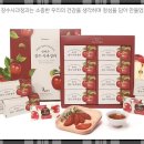 한비즌 티스토리