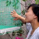 대전도시철도공사 신흥역 이미지