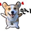 노은헤어 네이버블로그