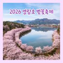 강원특별자치도속초의료원 | 2026 영랑호 벚꽃축제 벚꽃터널 일정·주차·야경 총정리 | 강원 속초 봄 가볼만한곳