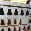 도도헤어 이미지