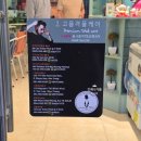 레이디엔젠틀맨 이미지